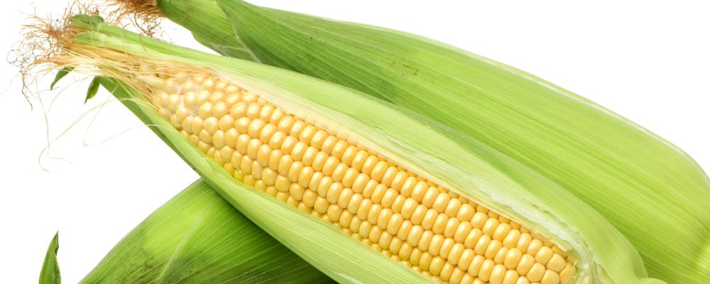 corn